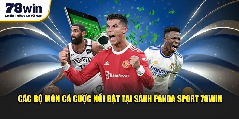Các bộ môn cá cược nổi bật tại sảnh Panda Sports 78WIN