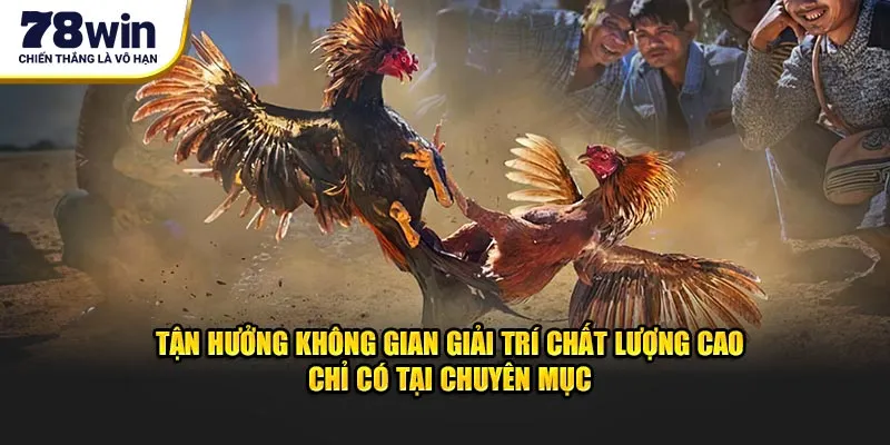 Tận hưởng không gian giải trí chất lượng cao chỉ có tại chuyên mục
